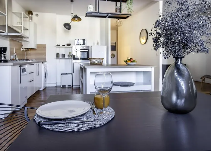 Grand T3 Rue Pietonne Bureau Et Terrasse